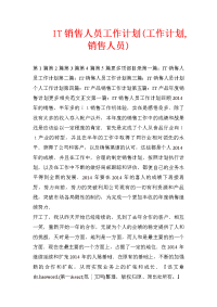 it销售人员工作计划(工作计划,销售人员)