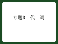 中考英语专题3代词复习课件