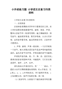 小升初练习题 小学语文总复习归类资料