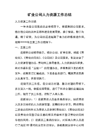 矿业公司人力资源工作总结