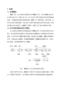 糠醛厂废水处理工程可行性研究报告