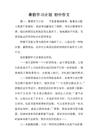 暑假学习计划 初中作文