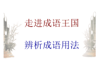 高考成语复习