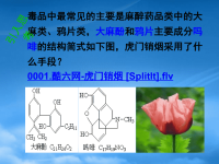 高中化学：3.1.2《酚》课件（新人教选修5）