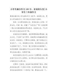 小学生满分作文100字：爸爸的头发.docx