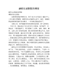 副校长述职报告博客.doc