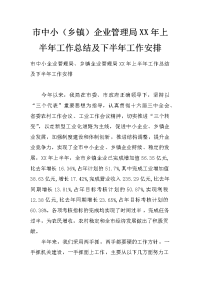 市中小（乡镇）企业管理局xx年上半年工作总结及下半年工作安排