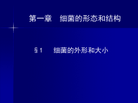 水处理微生物学 第一章  细菌的形态和结构ppt课件