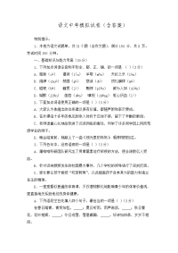 初中语文中考模拟试卷 含答案(32)