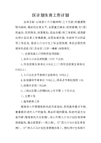 区计划生育工作计划
