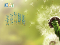 幼儿剪纸蝴蝶课件.ppt