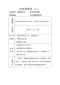 小学实验课教案