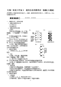 2013届高考生物一轮复习学案4 遗传信息的携带者——核酸(人教版)