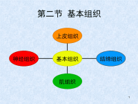 [农学]细胞基本组织