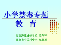 《小学禁毒专题教》PPT课件