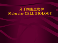 细胞生物学课件