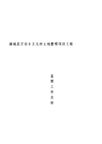 万安王元监理工作报告
