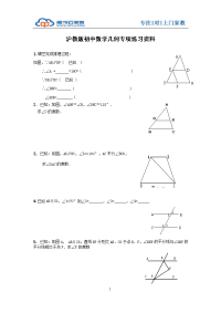 沪教版初中数学几何专项练习资料