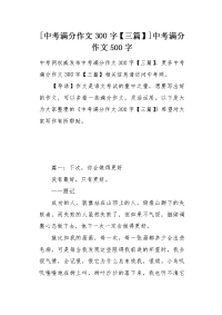 中考满分作文300字三篇.docx