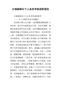 乡镇副镇长个人业务考核述职报告