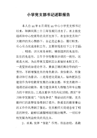 小学党支部书记的述职报告