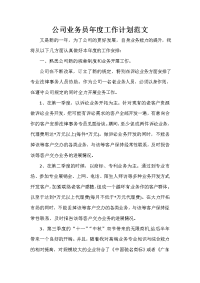 业务员工作计划 业务员工作计划100篇 公司业务员年度工作计划范文