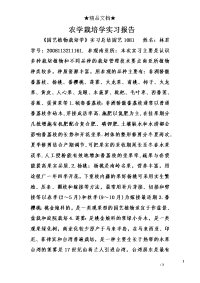 农学栽培学实习报告