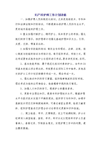 妇产科护师工作计划表格