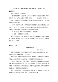 2020年浙江省绍兴市中考满分作文（精选2篇）.docx
