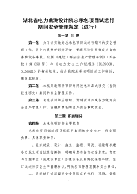 总承包项目试运行期间安全管理规定(试行)