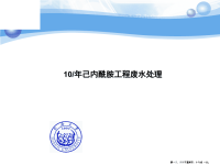 己内酰胺工程废水处理( PowerPoint 42页)