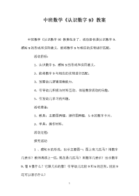 中班数学《认识数字9》教案