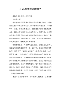 公司副经理述职报告