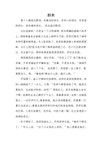 《泪水》的六年级满分作文3篇.docx