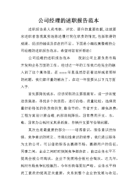 公司经理的述职报告范本