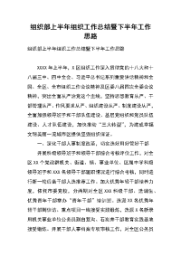 组织部上半年组织工作总结暨下半年工作思路