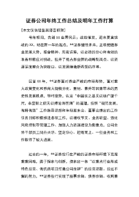 证券公司年终工作总结及明年工作打算