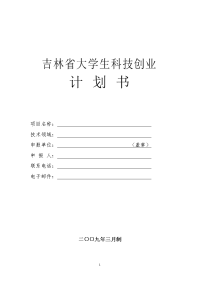 商业计划书（创业计划书）