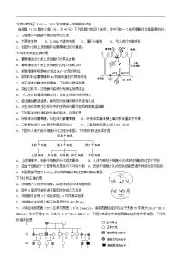 2015西城区高三期末考试生物试题及答案