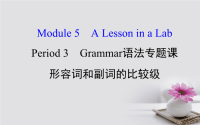 高中英语Module5ALessoninaLabPeriod3Grammar课件x