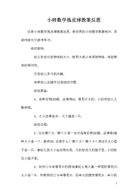 小班数学拣皮球教案反思