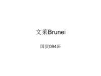 [经济学]文莱brunei