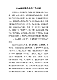 驻点县级团委指导工作总结