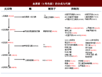 神经生物学课件