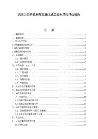 高速公路桥梁隧道工程施工安全风险评估报告(word档)