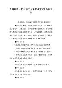 教案精选：初中语文《骆驼寻宝记》教案设计_0