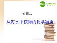 高中化学氯气的性质课件苏教版必修