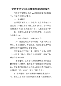 党总支书记某年度抓党建述职报告_1