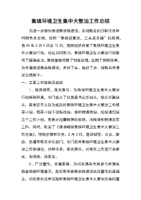 集镇环境卫生集中大整治工作总结