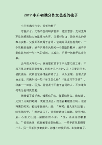 2019小升初满分作文爸爸的梳子.docx